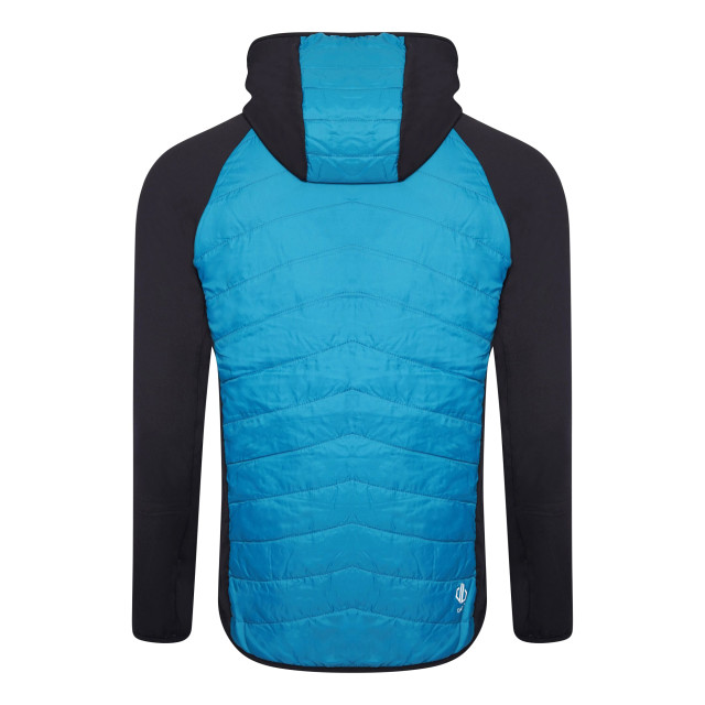 Dare2b Heren mountaineer wol hybride jas UTRG7096_blackfjordblue large