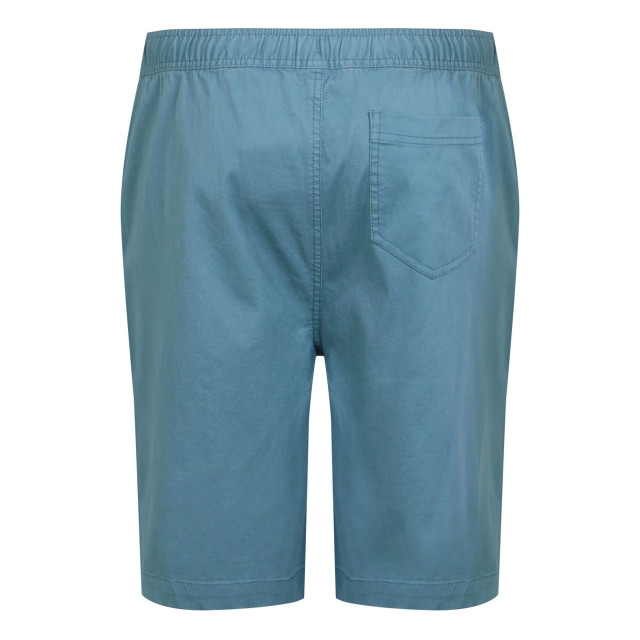 Regatta Heren aldan chino korte broek UTRG10687_coronetblue large
