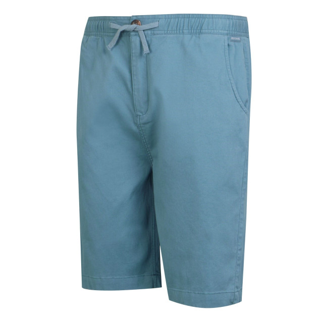 Regatta Heren aldan chino korte broek UTRG10687_coronetblue large