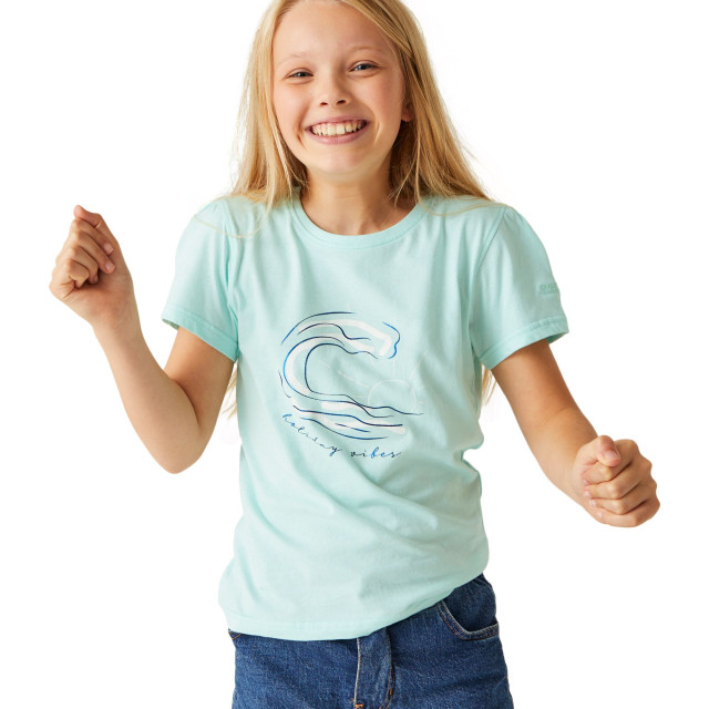Regatta Kinderen/kinderen bosley vii wave t-shirt UTRG10695_bleachedaqua large