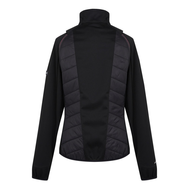 Regatta Dames steren ii hybride jas UTRG10401_blackflamingopink large