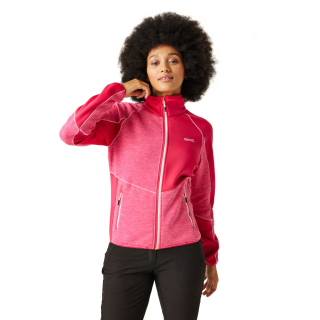 Regatta Dames lindalla vii marl full zip fleecejack UTRG10404_flamingopinkpinkpotion large Regatta Dames lindalla vii marl full zip fleecejack UTRG10404_flamingopinkpinkpotion large