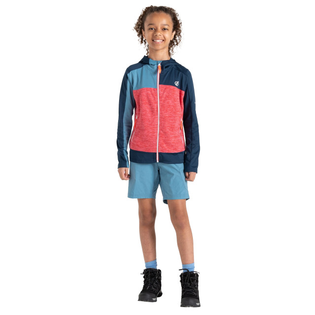 Dare2b Kinder/kids thriving ii midlayer UTRG10060_sorbetpinkmoonlightdenim large
