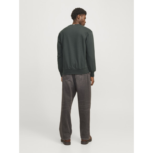 Jack & Jones Jwhfrederiksberg sweat crew neck 12285949 large