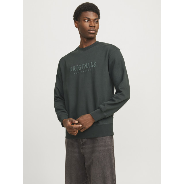 Jack & Jones Jwhfrederiksberg sweat crew neck 12285949 large