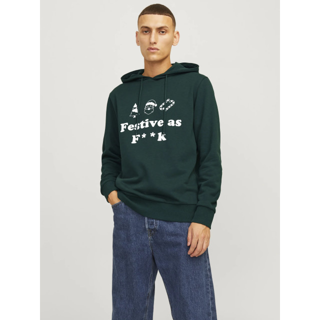 Jack & Jones Heren kersttrui jjxmas 12266115-Groen large
