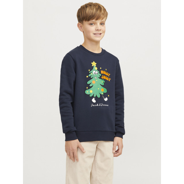 Jack & Jones Kersttrui jjxmas jolly 12266208-Blauw large