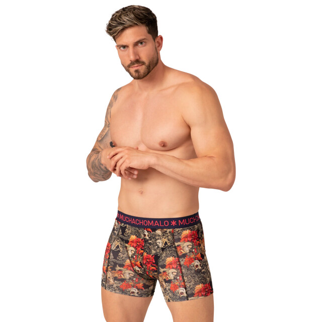 Muchachomalo Heren 10-pack boxershorts print/effen U-REMIX1010-10 large
