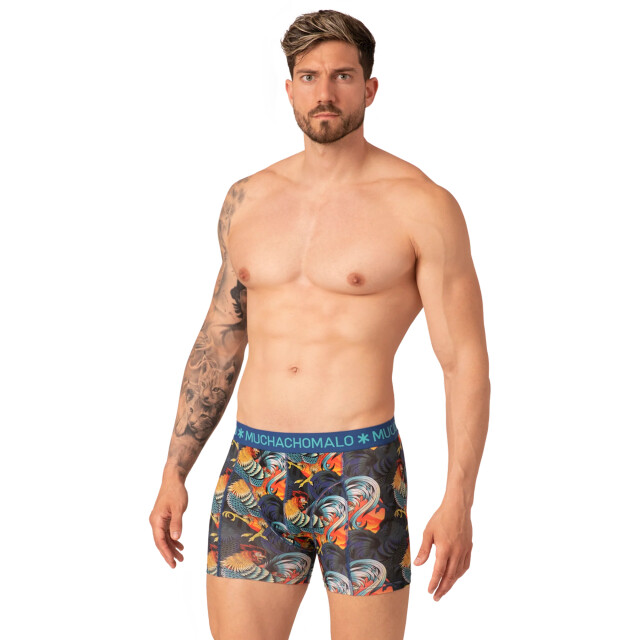 Muchachomalo Heren 10-pack boxershorts print/effen U-REMIX1010-10 large