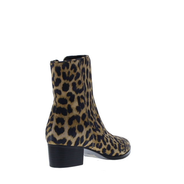 Di Lauro Vailet suede spits | dames | maat: | suede 109549 large