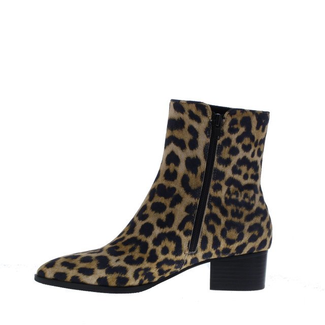 Di Lauro Vailet suede spits | dames | maat: | suede 109549 large