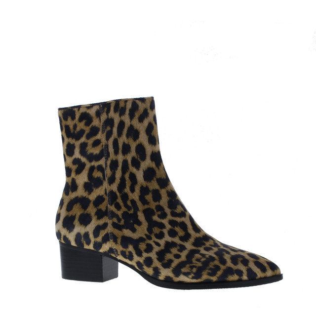 Di Lauro Vailet suede spits | dames | maat: | suede 109549 large