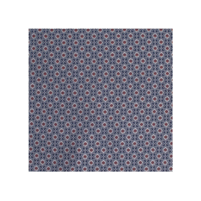 Tresanti Doroteo | silk hankie with small medallion | TRHAIE110-700 large