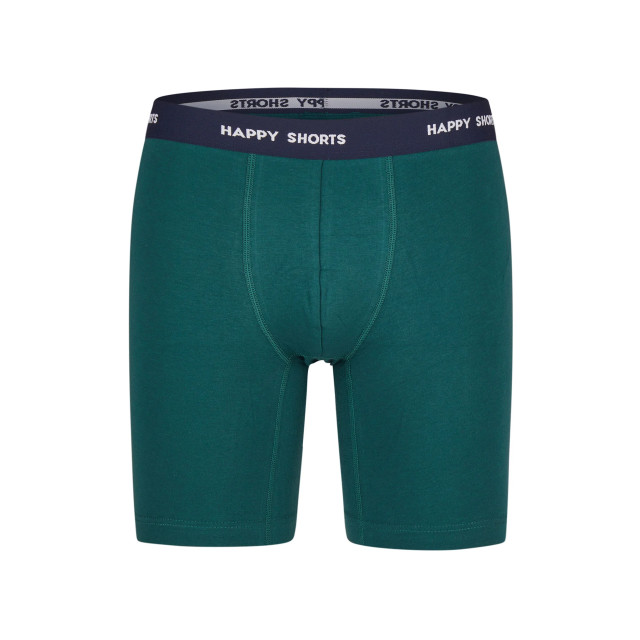 Happy Shorts Kerst boxershorts heren met lange pijpen boxer briefs 2-pack groen/blauw HS-JL-1074 large