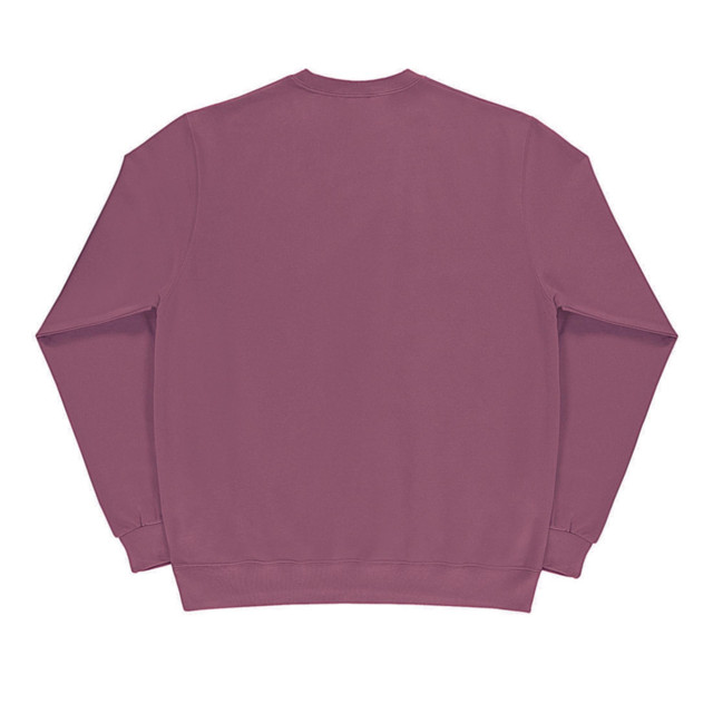 SG Heren lange mouw crew nek sweatshirt top UTFK769_cassis large