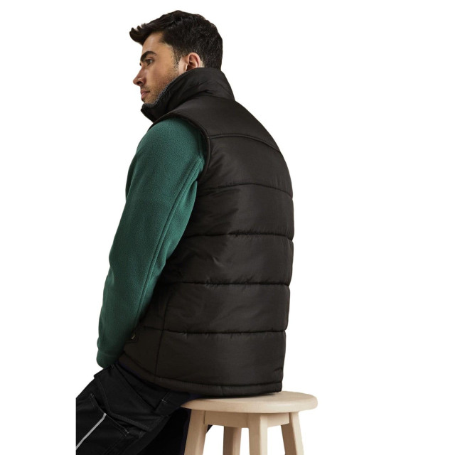Regatta Heren standout altoona geïsoleerd bodywarmer jasje UTFK543_black large