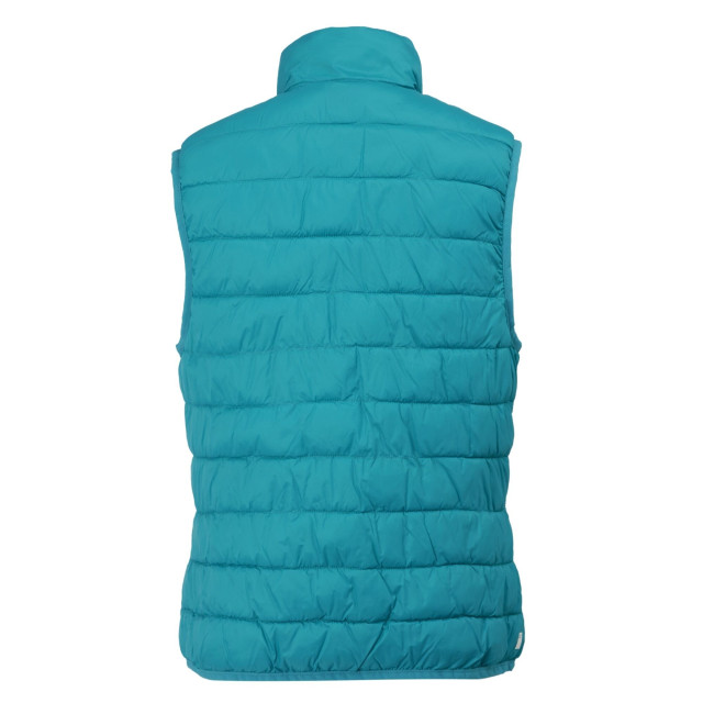 Regatta Dames hillpack ii gilet UTRG10774_tahoebluebleachedaqua large