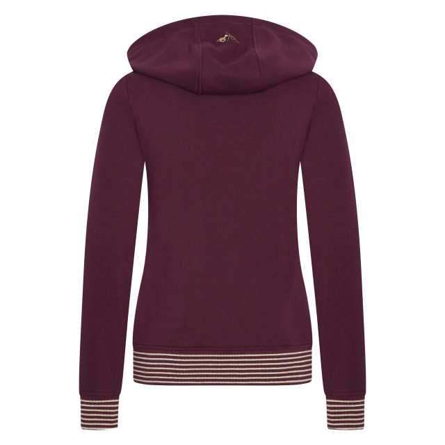 HV Polo Sweater hvpbeau 0401093407_4018 large
