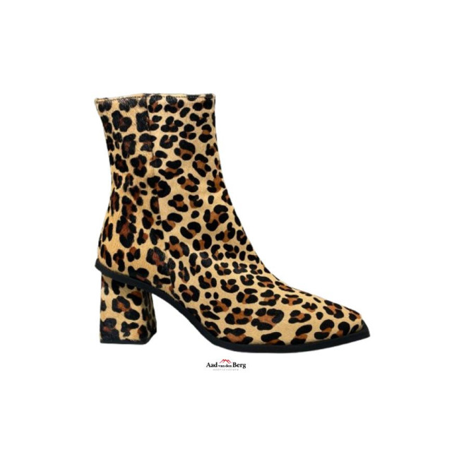AvdB Damesschoenen enkellaarsjes 6984 698 large