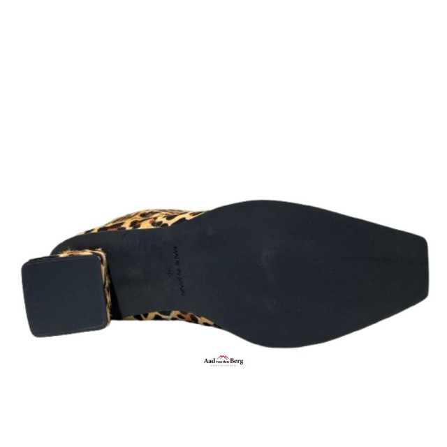 AvdB Damesschoenen enkellaarsjes 6984 698 large