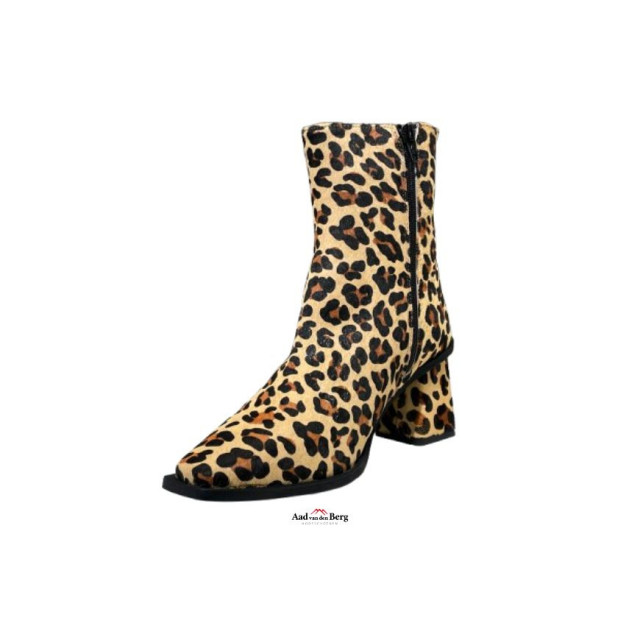 AvdB Damesschoenen enkellaarsjes 6984 698 large