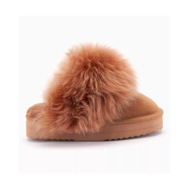 Warmbat Wag1169 pantoffels WAG371169 large