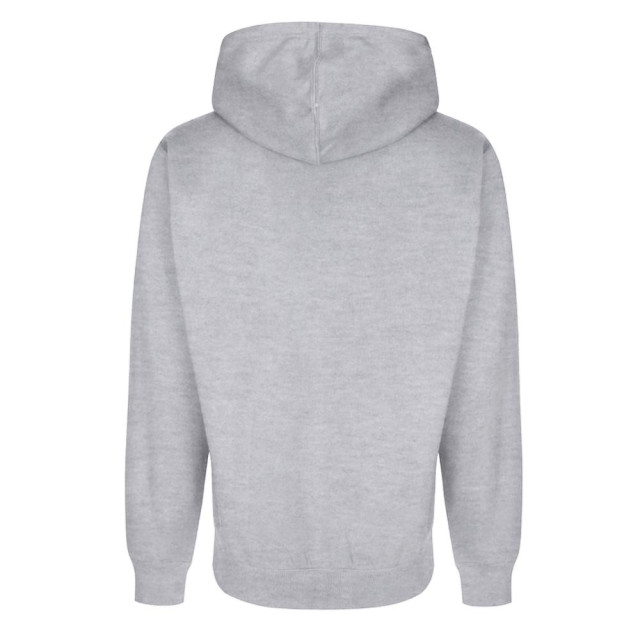 FDM Unisex team zip hoodie UTFK371_heathergrey large