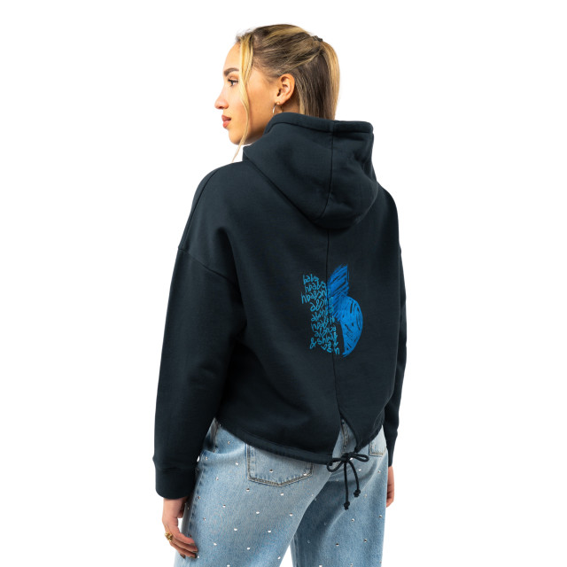 Ba&sh Hoodie daniel hoodie-daniel-00054142-blue large