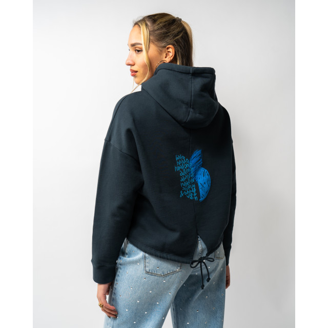 Ba&sh Hoodie daniel hoodie-daniel-00054142-blue large