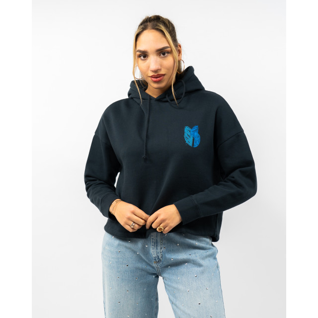 Ba&sh Hoodie daniel hoodie-daniel-00054142-blue large