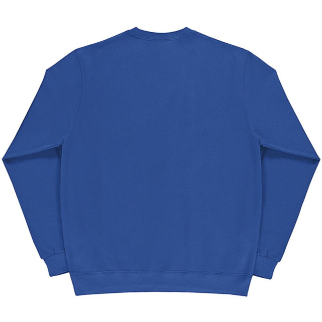 SG Heren lange mouw crew nek sweatshirt top UTFK769_royal large