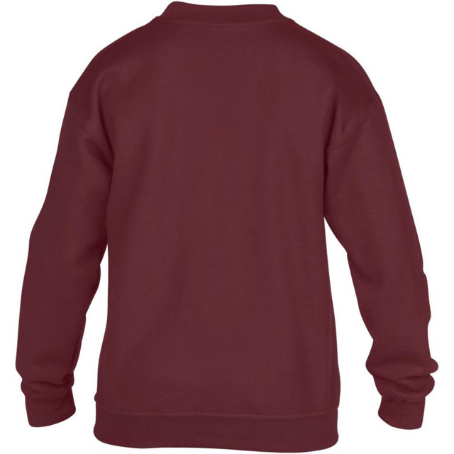 Gildan Childrens unisex heavy blend sweatshirt crewneck UTFK387_maroon large