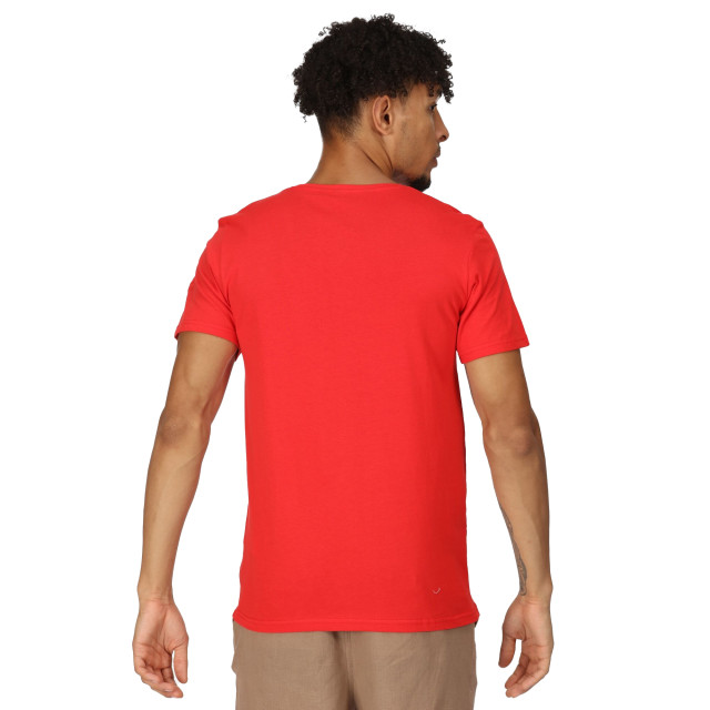 Regatta Heren cline vii mountain coolweave t-shirt UTRG8796_roccocored large