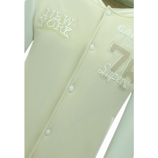 Local Fanatic Baseball jack varsity jacket F-902 large