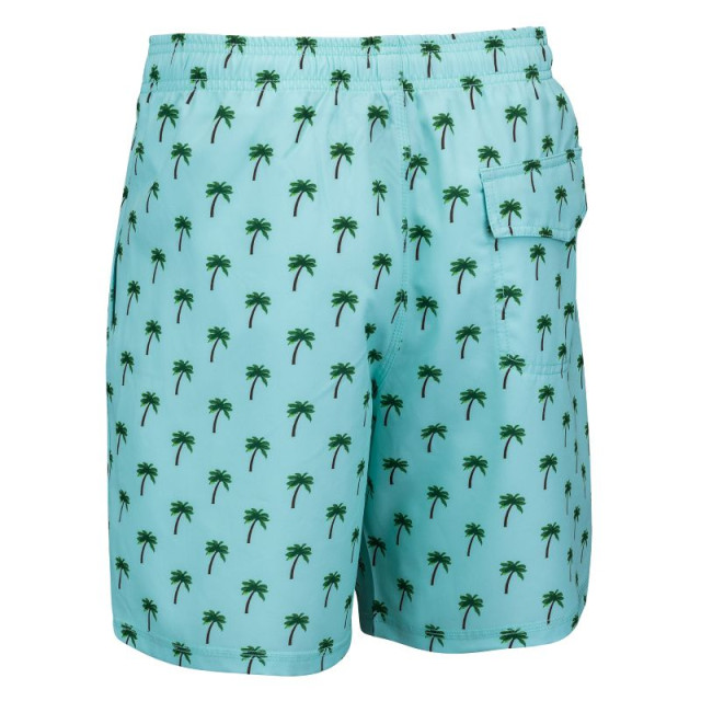 Falcon Zwemshort heren Dray Green Palms S-31 large