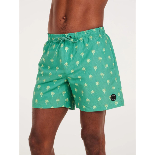 Protest Zwemshort heren 2711543 large