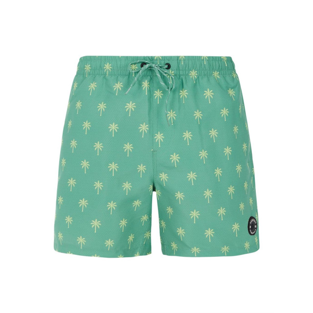 Protest Zwemshort heren 2711543 large