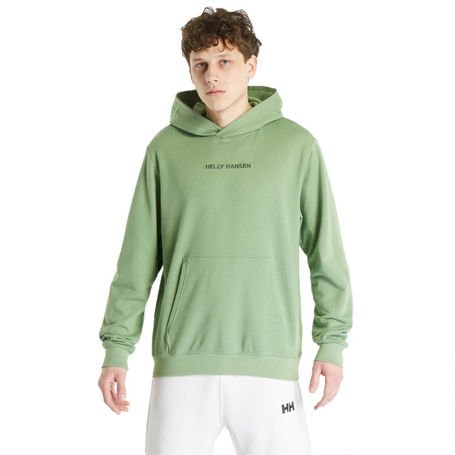 Helly Hansen Casual sweater heren 53924 large