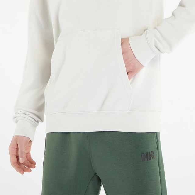 Helly Hansen Casual sweater heren 53924 large