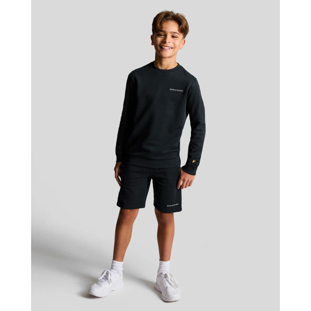 Lyle and Scott Casual sweater jongens MLB2019V large