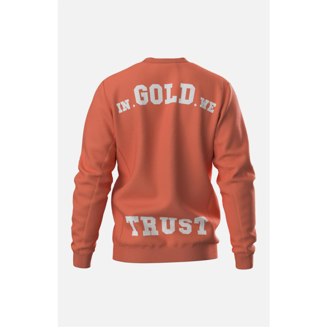 In Gold We Trust Casual sweater heren IGWTCR-038 large