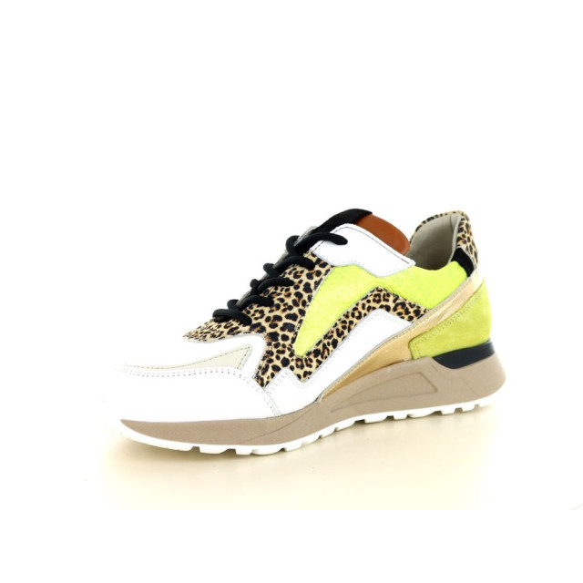 Piedi Nudi 237.01.030 Sneakers Print / Multi 237.01.030 large