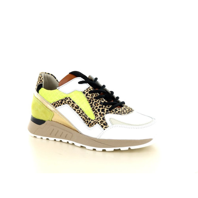 Piedi Nudi 237.01.030 Sneakers Print / Multi 237.01.030 large