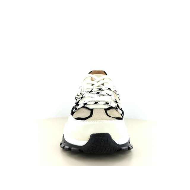 DWRS Label Bonney 2.01.036 237.01.036 large