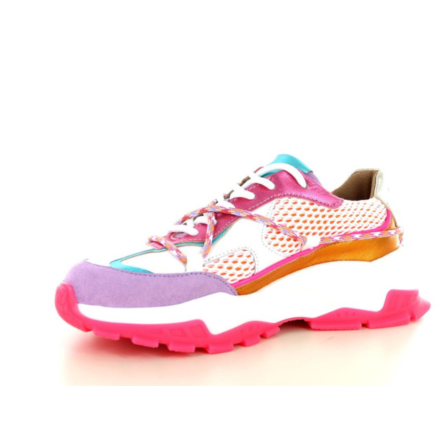 DWRS Label Bonney 2.40.113 237.40.113 large