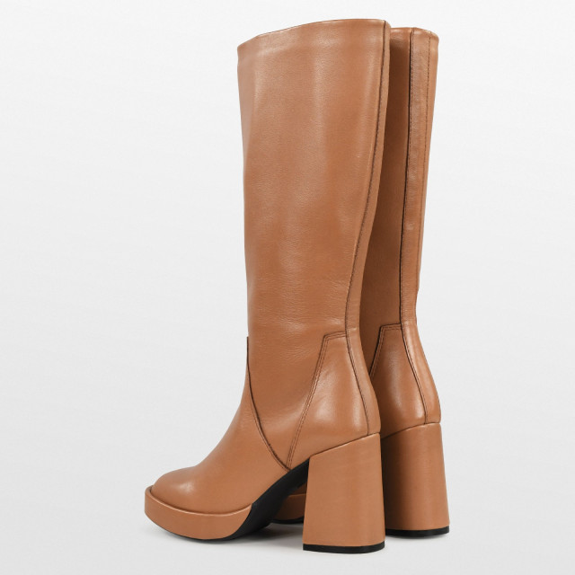 PS Poelman Rexy-02 270.33.013 270.33.013 large