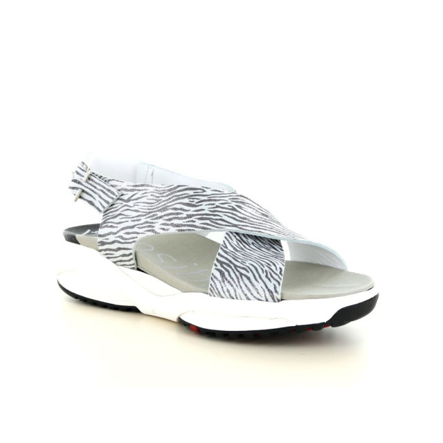 Xsensible 290.96.301 Sandalen Zilver 290.96.301 large