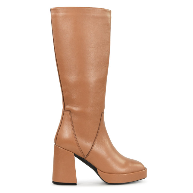 PS Poelman Rexy-02 270.33.013 270.33.013 large