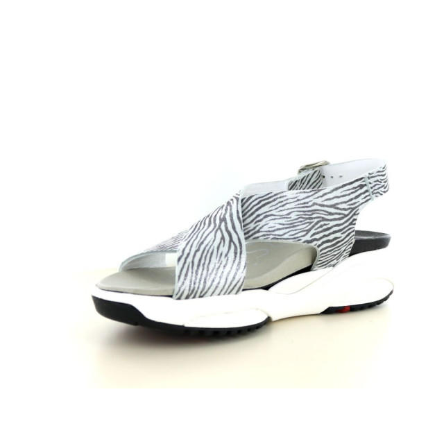 Xsensible 290.96.301 Sandalen Zilver 290.96.301 large