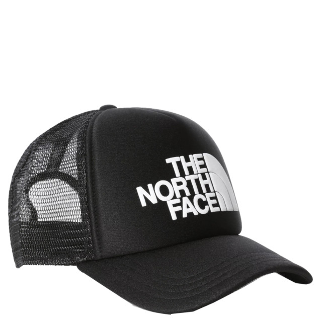 The North Face Skate cap NF0A3FM3KY41 large